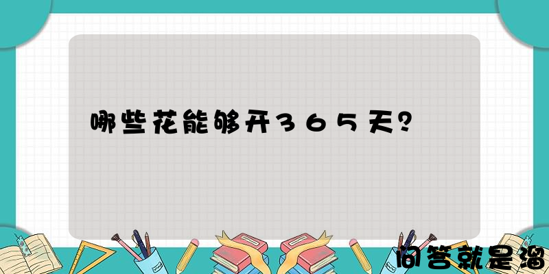 哪些花能够开365天？