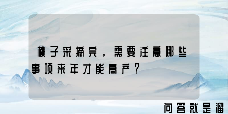 桃子采摘完，需要注意哪些事项来年才能高产？