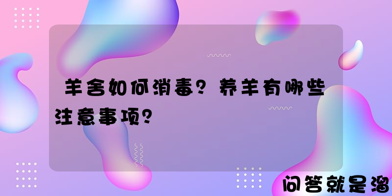 羊舍如何消毒？养羊有哪些注意事项？