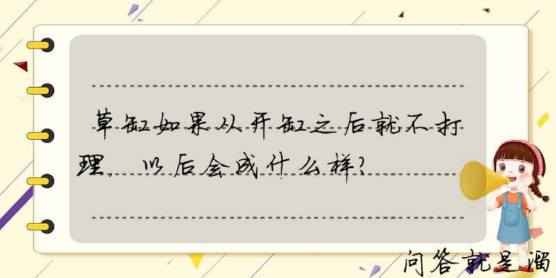 草缸如果从开缸之后就不打理，以后会成什么样？